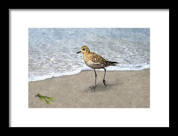Golden Plover Framed Print featuring the painting Treasure On The Beach by Stephen Jorgensen