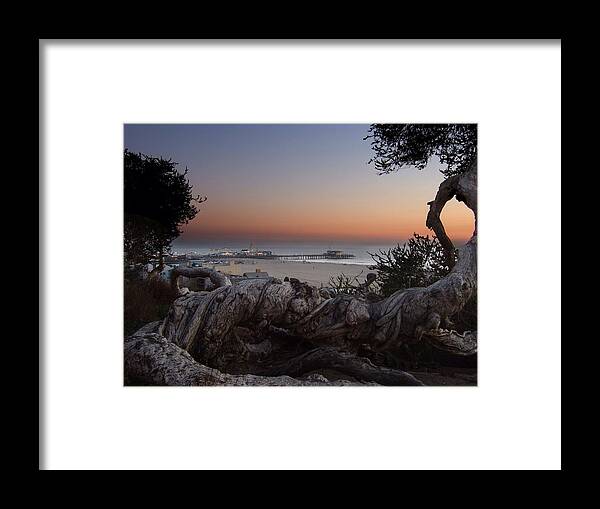 Beach Framed Print featuring the photograph Tree and Pier by Steve Ondrus