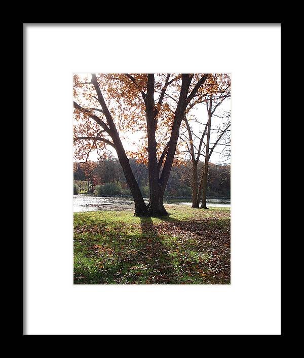 Trees Framed Print featuring the photograph Tree at the Lake by J L Zarek