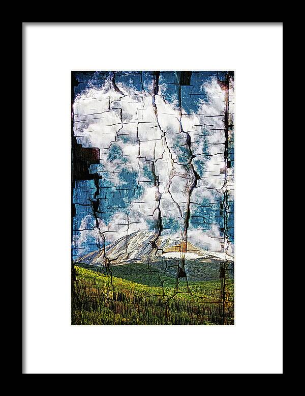 Lincoln Rogers Framed Print featuring the photograph Tree Bark Mountain Tapestry by Lincoln Rogers