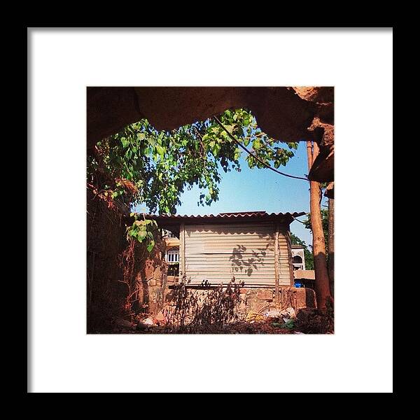 Urban Framed Print featuring the photograph Tree Baroque by Bats AboutCats