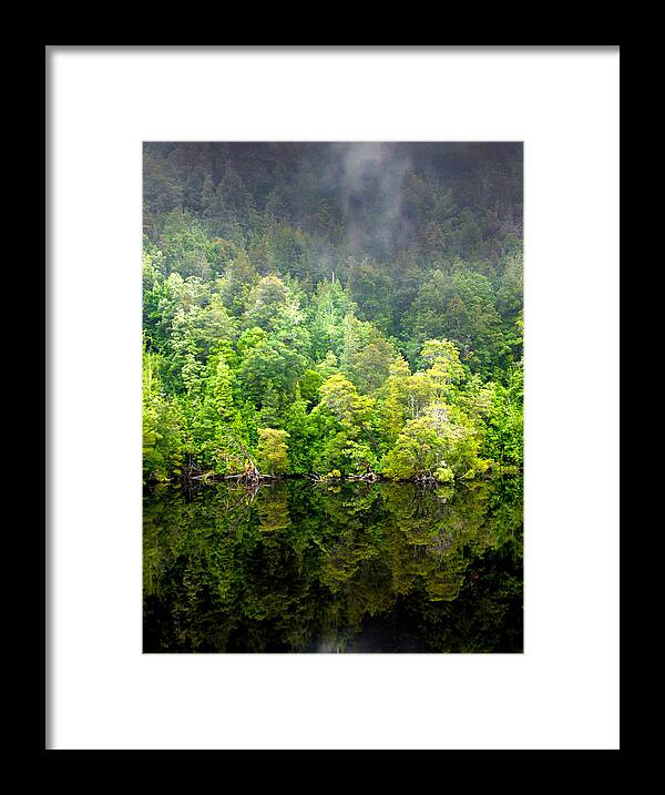 Gordon River Framed Print featuring the photograph Tree Breath by Glen Johnson