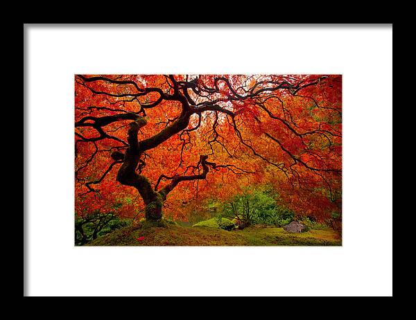 #faatoppicks Framed Print featuring the photograph Tree Fire by Darren White