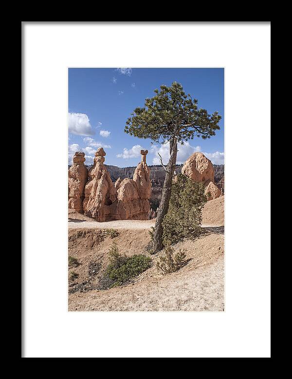 Color Framed Print featuring the photograph Tree in Bryce Canyon by Arkady Kunysz
