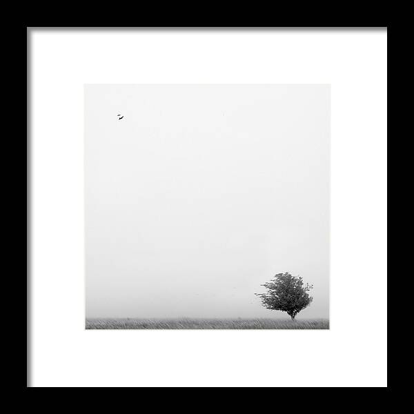 Landscape Framed Print featuring the photograph Tree in the Wind by Mike McGlothlen