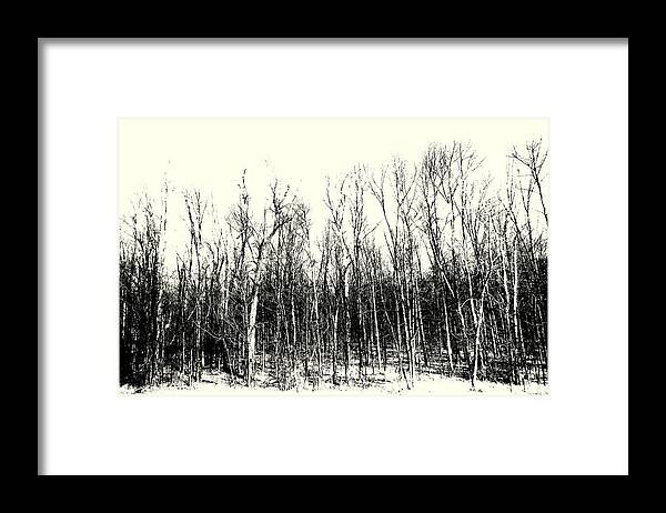 Trees Framed Print featuring the photograph Tree Line by Jodie Marie Anne Richardson Traugott     aka jm-ART