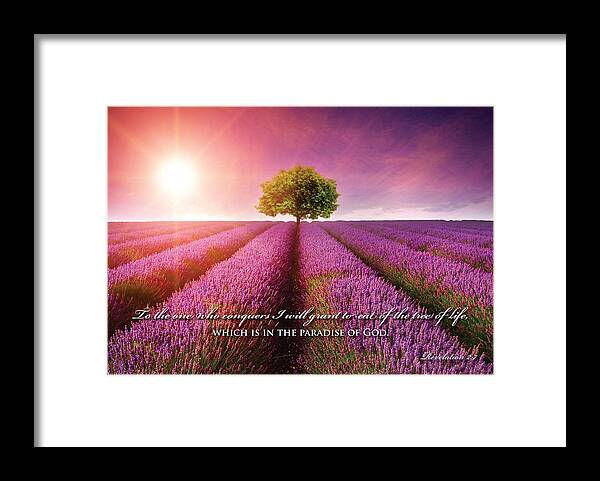 Flower Framed Print featuring the digital art Tree of Life by Kathryn McBride