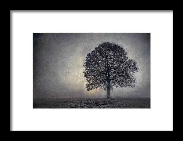 Tree Framed Print featuring the photograph Tree of Life by Scott Norris
