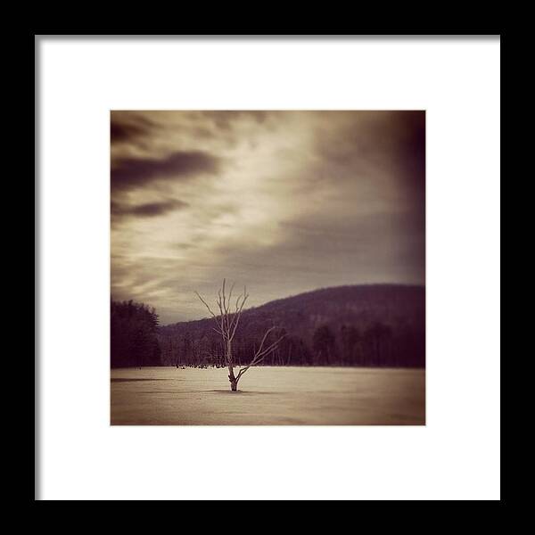  Framed Print featuring the photograph Tree Of Loneliness by Peter Richter