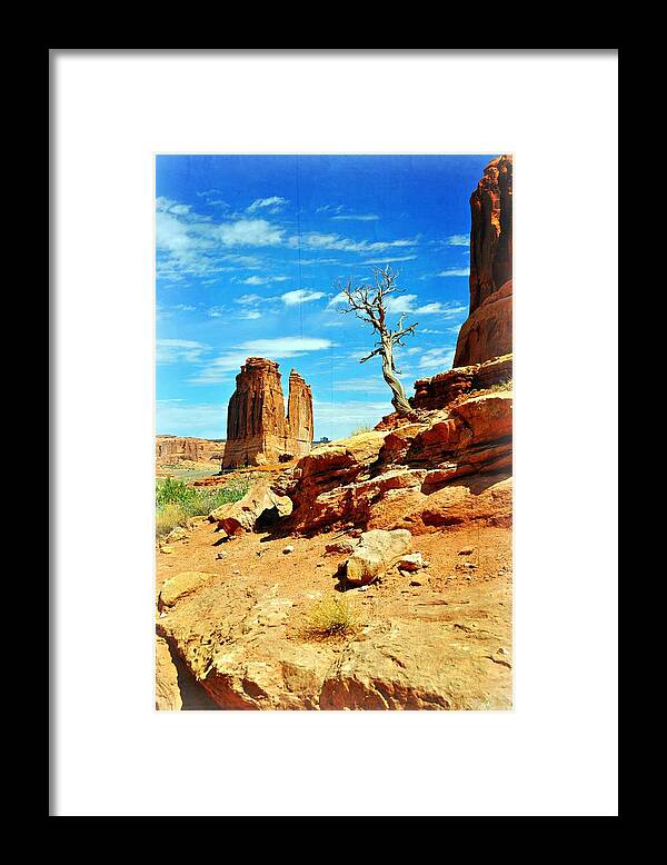 Arches National Park Framed Print featuring the photograph Tree On Park Avenue by Marty Koch