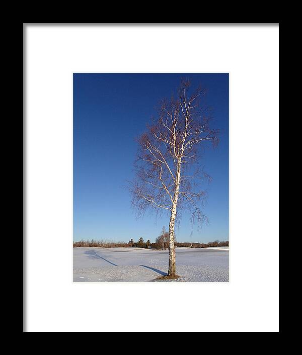 Tree Framed Print featuring the photograph Tree by Robert Nickologianis