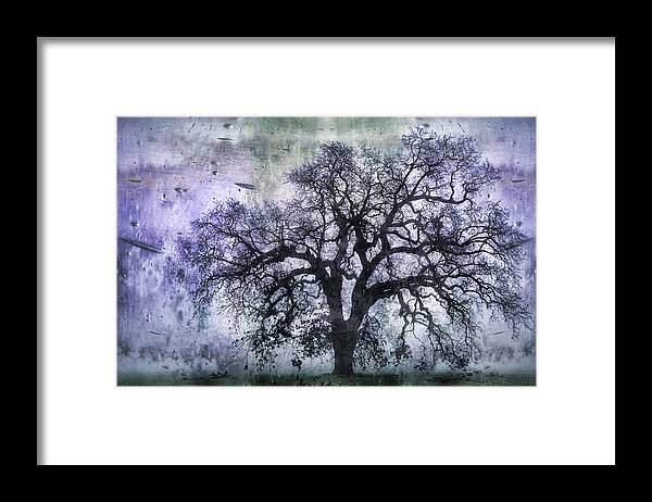 Tree Framed Print featuring the photograph Tree Silhouette in Purple by Carol Leigh