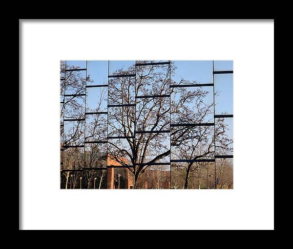 Reflection Framed Print featuring the photograph Treeflection by Rick Locke - Out of the Corner of My Eye