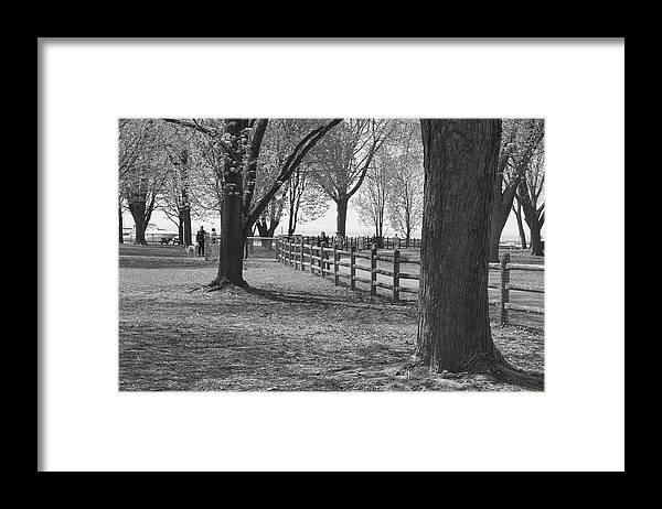 Parkland Framed Print featuring the photograph Trees in an Urban Park by Nicky Jameson