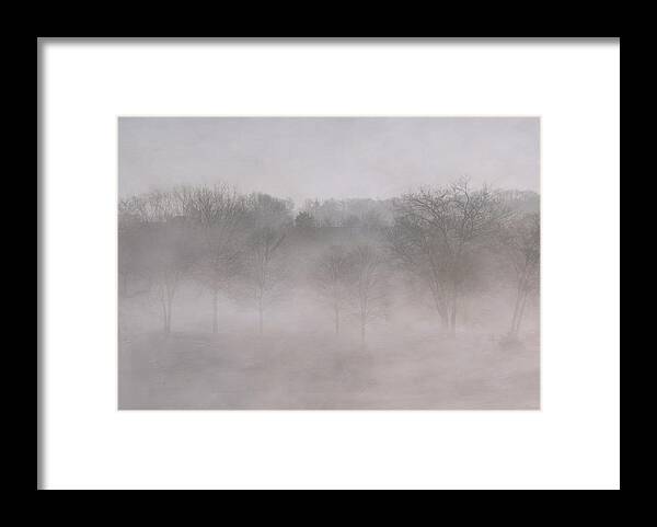 Trees Framed Print featuring the photograph Trees in Fog by Carol Erikson