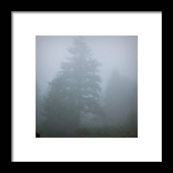 Oregon Framed Print featuring the photograph Trees In Fog by KATIE Vigil