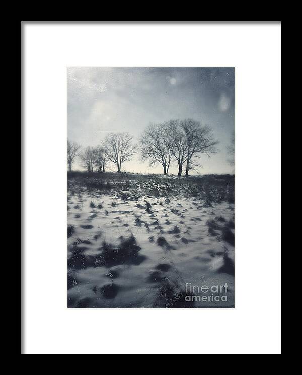 Tree Framed Print featuring the photograph Trees on the Edge of a Field by Jill Battaglia