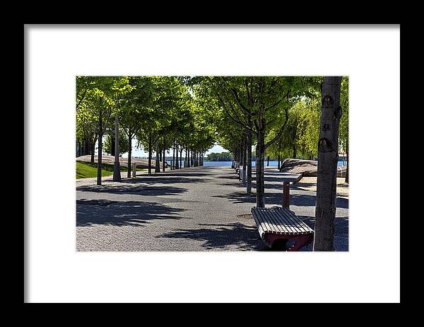 Trees Framed Print featuring the photograph Trees on the Lake by Nicky Jameson