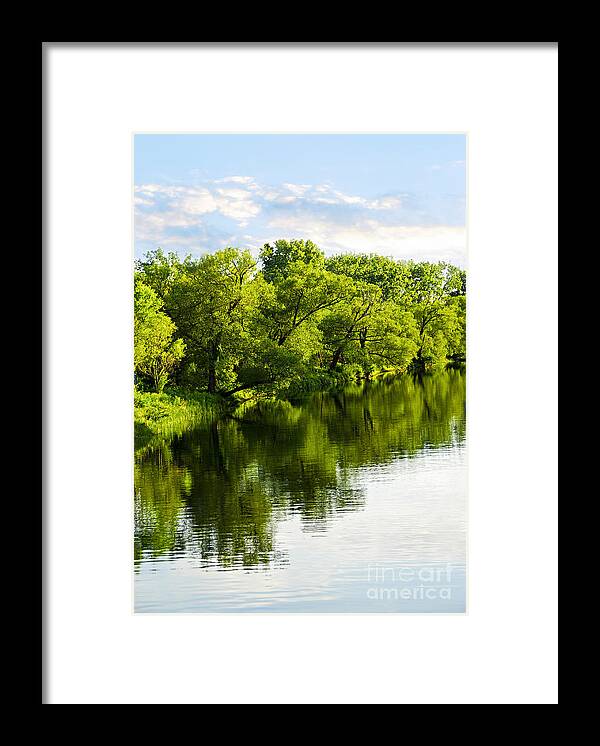 Trees Framed Print featuring the photograph Trees reflecting in river by Elena Elisseeva