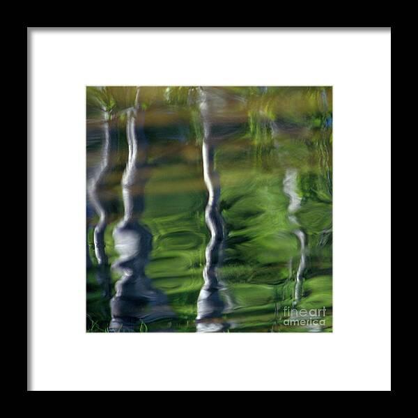 Nature Framed Print featuring the photograph Trees reflections on the river by Heiko Koehrer-Wagner