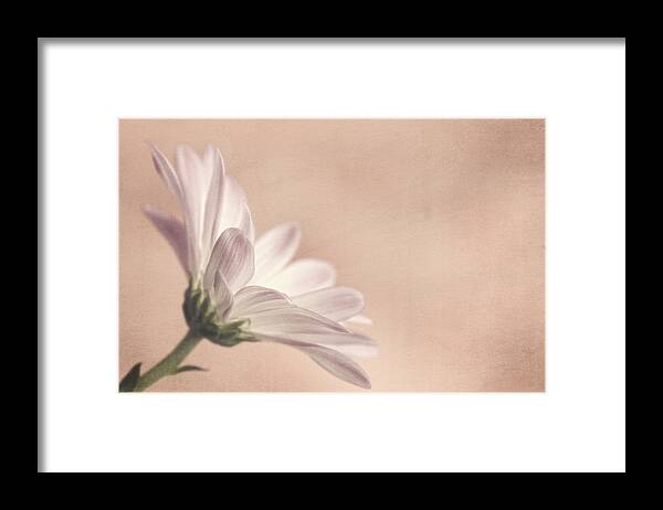 Floral Framed Print featuring the photograph Tremble by Sandra Parlow
