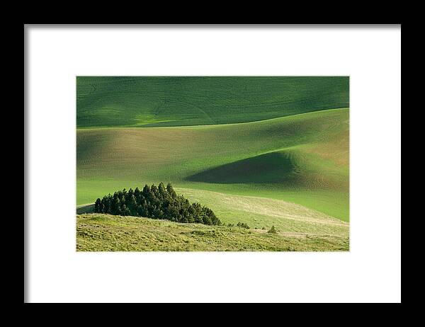 Landscapes Framed Print featuring the photograph Triangle and Trees by Mary Lee Dereske