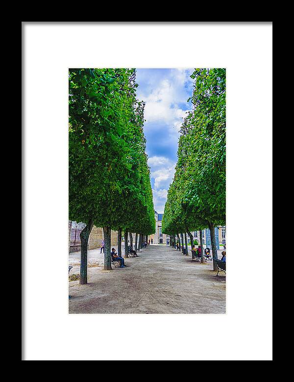 France Framed Print featuring the photograph Trimmed Trees by Louis Dallara