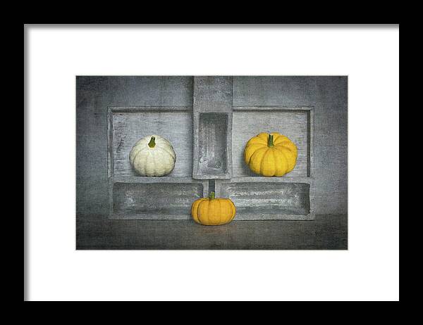 Pumpkin Framed Print featuring the photograph Trio's IIi by Luc Stalmans