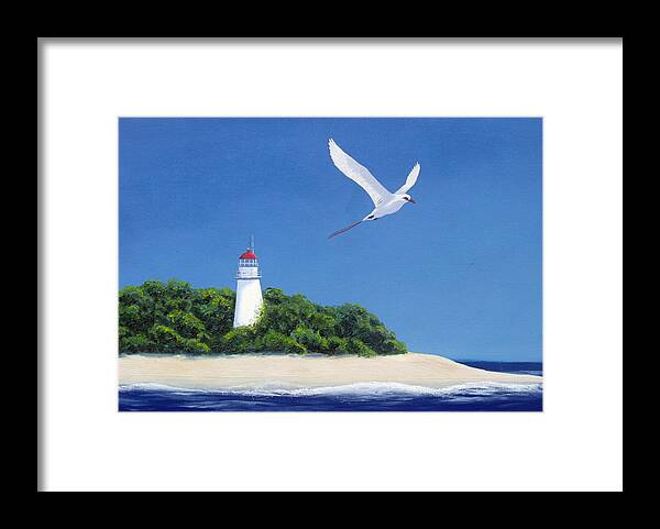 Red-tailed Tropic Bird Framed Print featuring the painting Tropic bird by David Clode