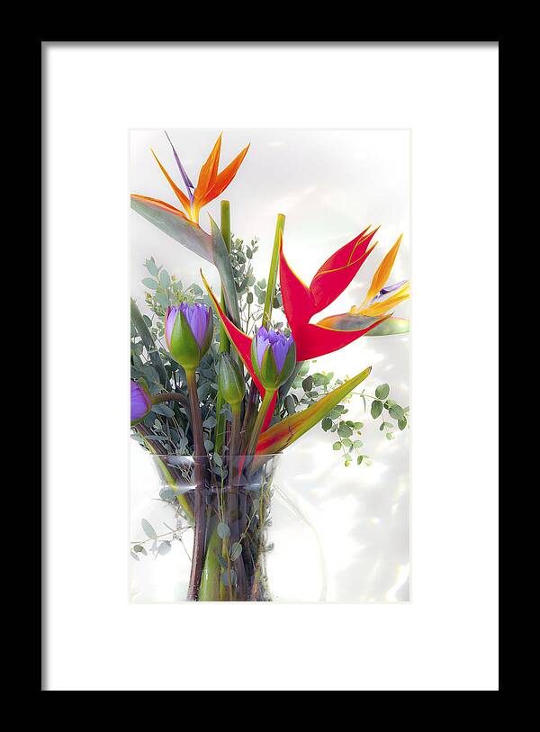 Jb Photoworks Framed Print featuring the photograph Tropical Flowers by John Bartosik