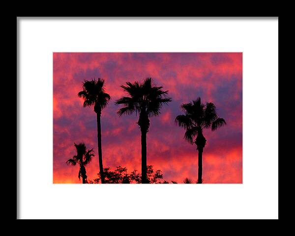 Sunset Framed Print featuring the photograph Tropical Sunset by Laurel Powell