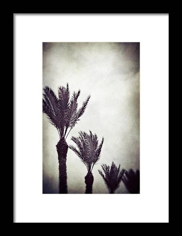Beach Framed Print featuring the photograph Trouble in Paradise by Trish Mistric