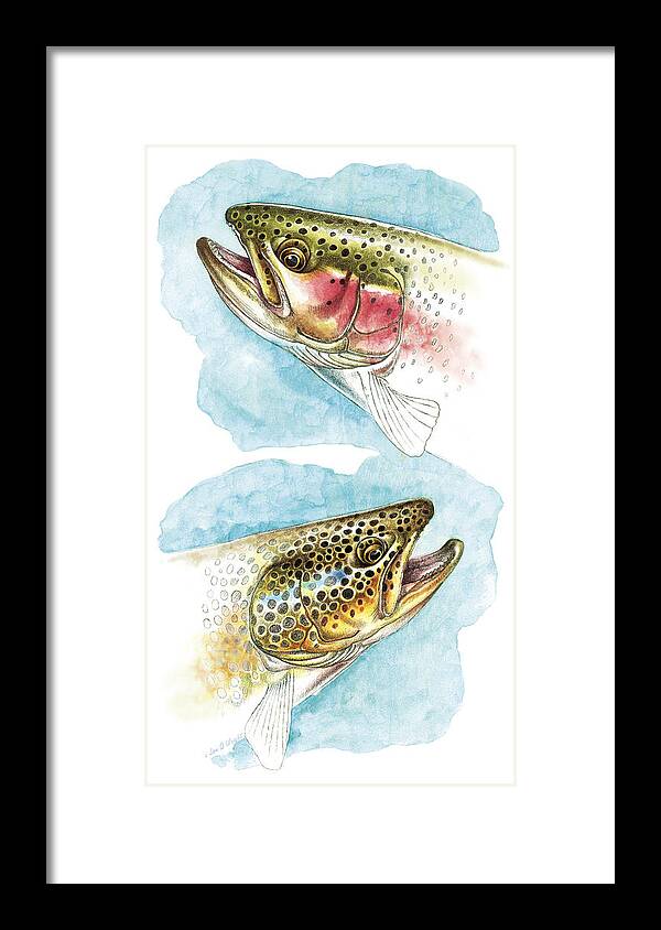 Jon Q Wright Framed Print featuring the painting Trout Study by JQ Licensing