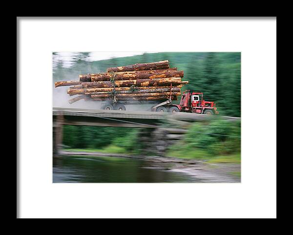Log Framed Print featuring the photograph Truck Carries Felled Logs by David Nunuk/science Photo Library