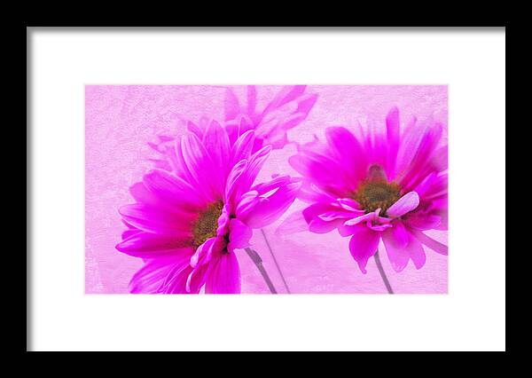 Pink Flowers Framed Print featuring the photograph True Pink by Linda Segerson