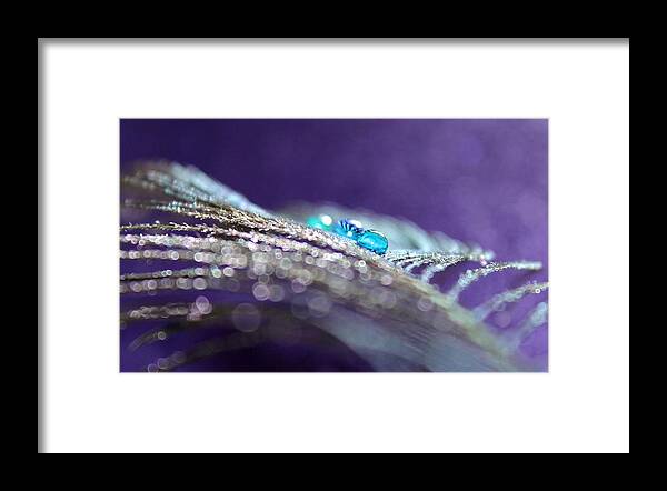Peacock Feather Framed Print featuring the photograph Try More Faith by Krissy Katsimbras