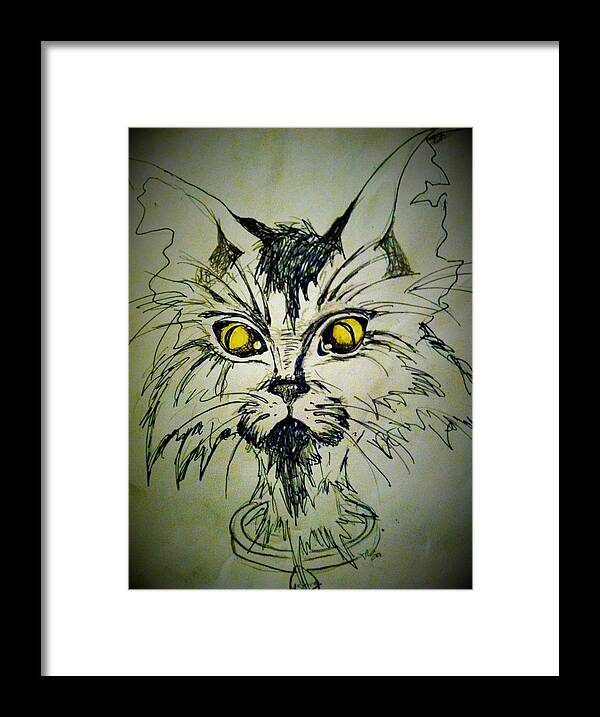 Stray Cat Framed Print featuring the drawing Tsimos Cat by Alexandria Weaselwise Busen