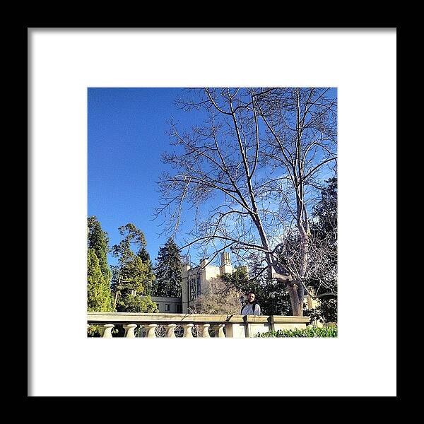  Framed Print featuring the photograph Tuck Tuck In The Trees by Noel Vrooman
