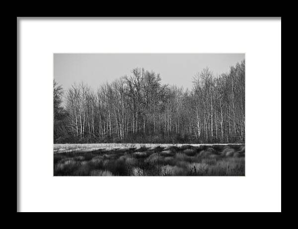 Field Framed Print featuring the photograph Tufts by Larry Goss