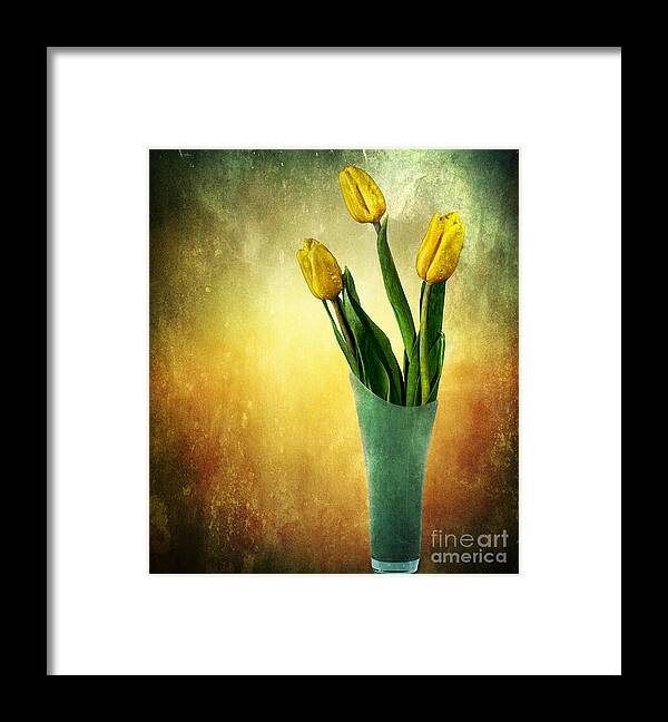 Flowers Framed Print featuring the photograph Tulip Bouquet by Shirley Mangini