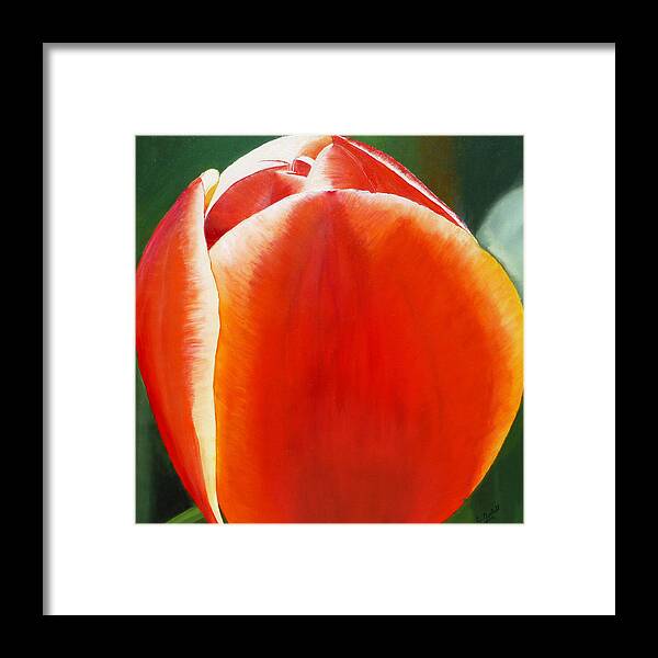 Flower Framed Print featuring the painting Tulip by Claudia Goodell