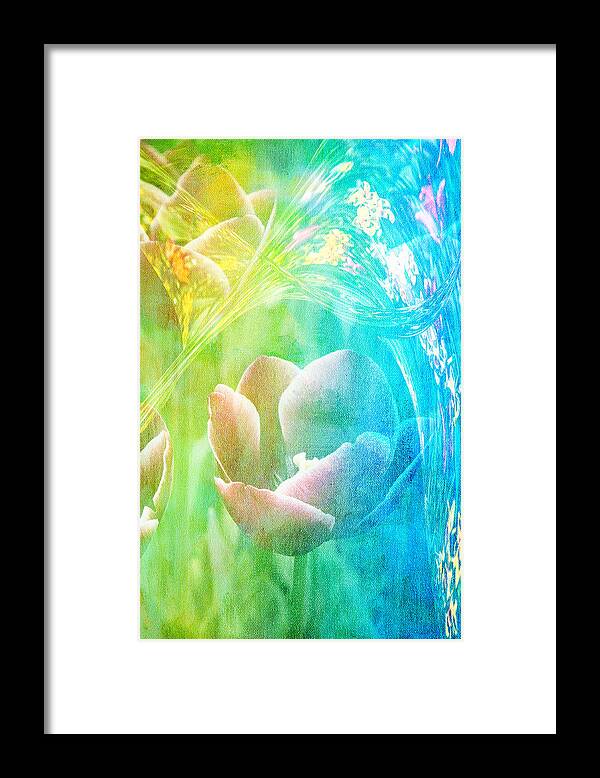 Tulips Framed Print featuring the photograph Tulip Garden by James Bethanis