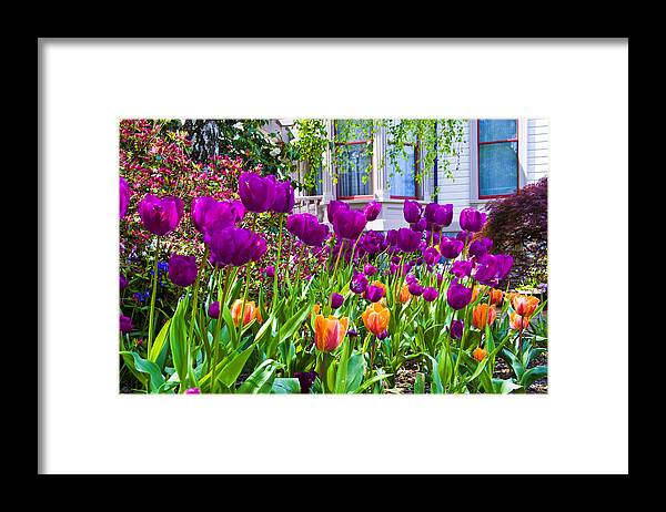 Tulips Framed Print featuring the photograph Tulips and Bush House by Larry Goss