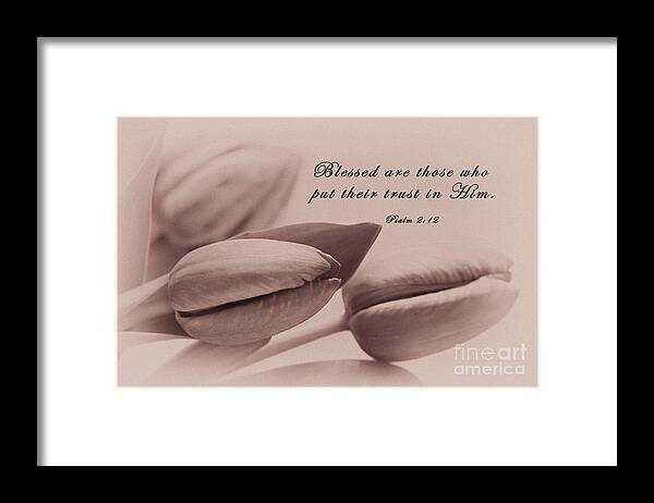 Psalm Framed Print featuring the photograph Tulips and Scripture by Jill Lang