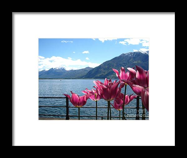 Sky Framed Print featuring the photograph Tulips at Lake Geneva by Amanda Mohler
