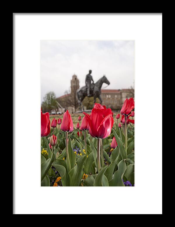 Architecture Framed Print featuring the photograph Tulips at Texas Tech University by Melany Sarafis