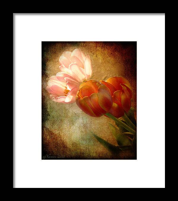 Tulips - Bill Voizin Framed Print featuring the photograph Tulips by Bill Voizin 