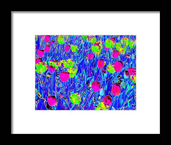 Tulip Framed Print featuring the photograph Tulips - Field With Love - PhotoPower 2000 by Pamela Critchlow