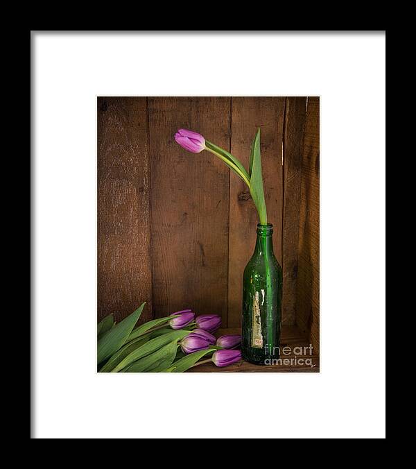 Maine Nature Photographers Framed Print featuring the photograph Tulips Green Bottle by Alana Ranney