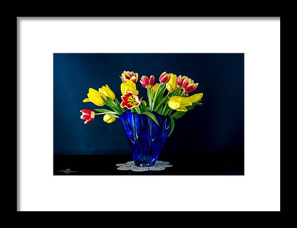 Tulips In Blue Framed Print featuring the photograph Tulips in Blue by Torbjorn Swenelius